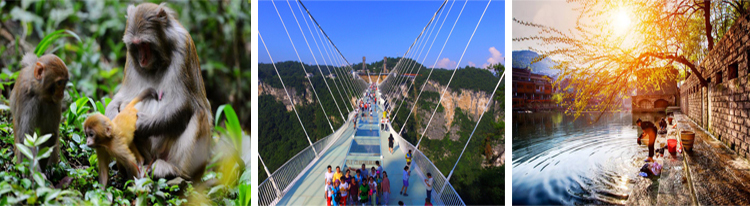 張家界跟團(tuán)游,張家界自由行,張家界自駕游,張家界中國國際旅行社有限公司